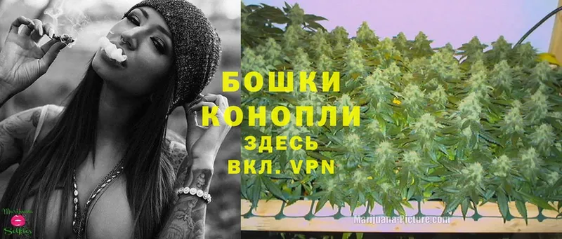 Бошки марихуана OG Kush  Бикин 